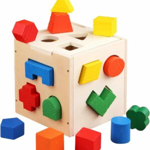 Wooden Toys Shape Sorter - 15 Blocks Learning Puzzle for Kids |